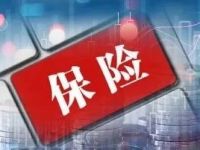 重要时刻!第二批险资正式入市,三大布局方向曝光