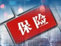 股票配置显著提升!两大保险巨头齐发半年报